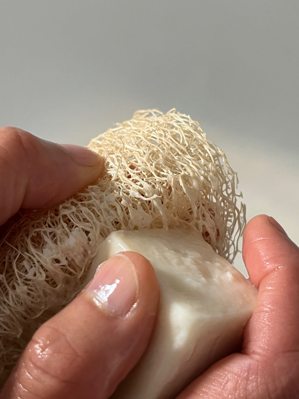 Luffa Schwamm – Bade/Duschschwamm