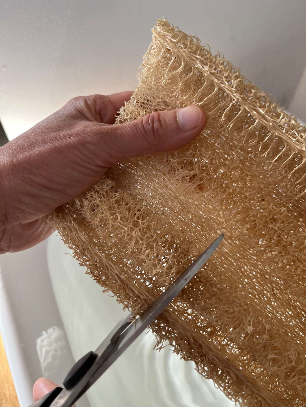 Luffa Schwamm – FaceSoft Deep Cleaner (Weich)
