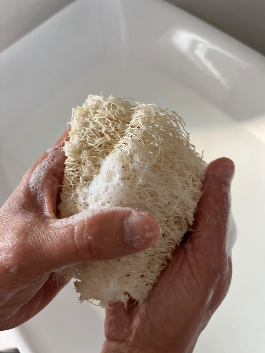 Luffa Schwamm – FaceSoft Deep Cleaner (Weich)